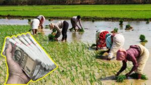 Farmers