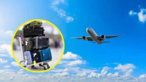 Flight Luggage Rules