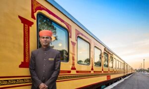 Palace-on-Wheels-Trains