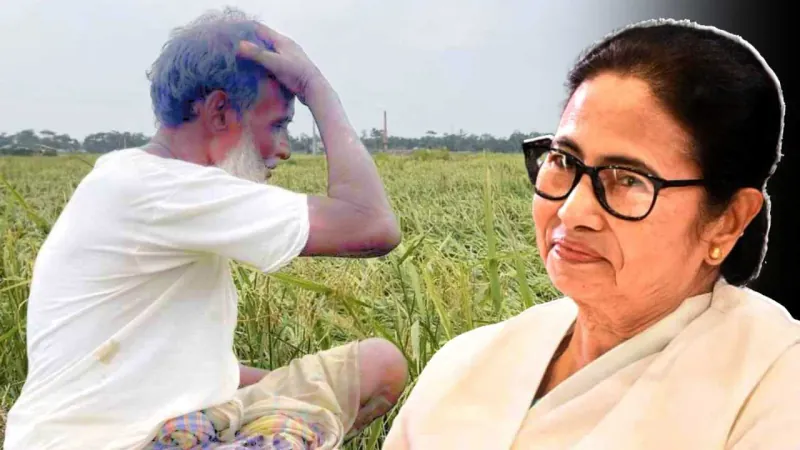 চাষিদের অ্যাকাউন্টে ঢুকছে শস্য বিমার টাকা, আপনার নাম আছে কিনা কীভাবে জানবেন?