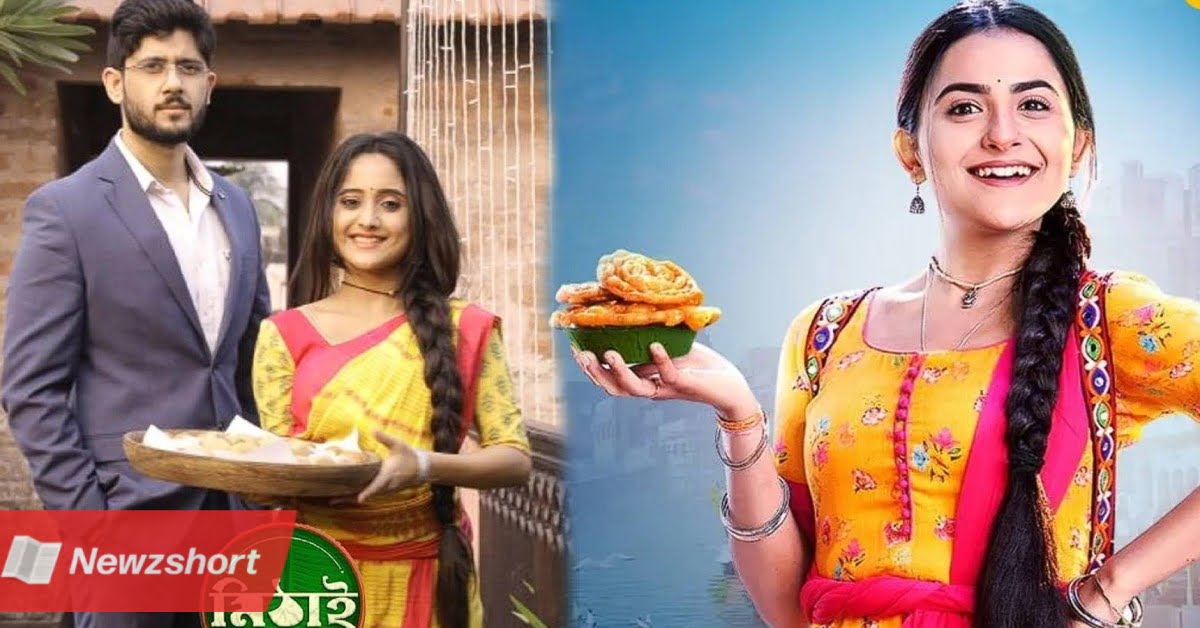 5 bengali mega serial hindi remake got super flop