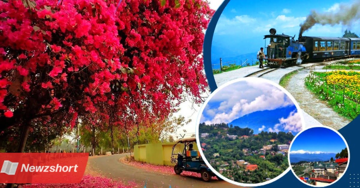 West Bengal,Tourism,Tourist Places,Santiniketan,Darjeeling,Sundarban,Kalimpong,পশ্চিমবঙ্গ,পর্যটন শিল্প,পর্যটক,শান্তিনিকেতন,দার্জিলিং,সুন্দরবন,কালিম্পং,Bangla,Bengali,Bengali News,Bangla Khobor,Bengali Khobor