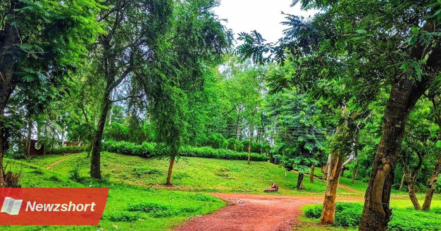 পিকনিক স্পট,Picnic Spot,পিকনিক,Picnic,কলকাতা,Kolkata,শীতকাল,Winter,ভ্রমণ,Travel,Bengali Khobor,Bangla,Bengali