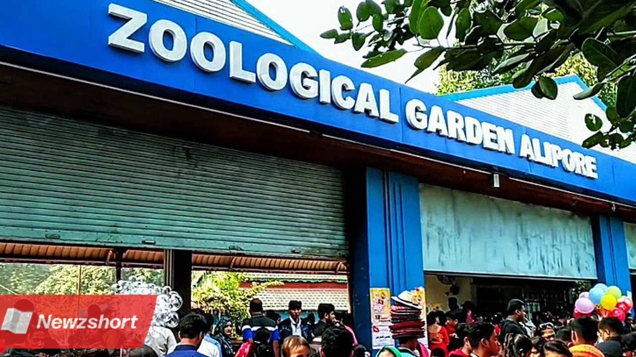 আলিপুর চিড়িয়াখানা,Alipore Zoo,বড় আপডেট,Big Update,Closed Every Thursday,প্রত্যেক বৃহস্পতিবার বন্ধ,New Rule,নতুন নিয়ম,বাংলা খবর,Bangla Khobor,Bengali Khobor,Bangla,Bengali