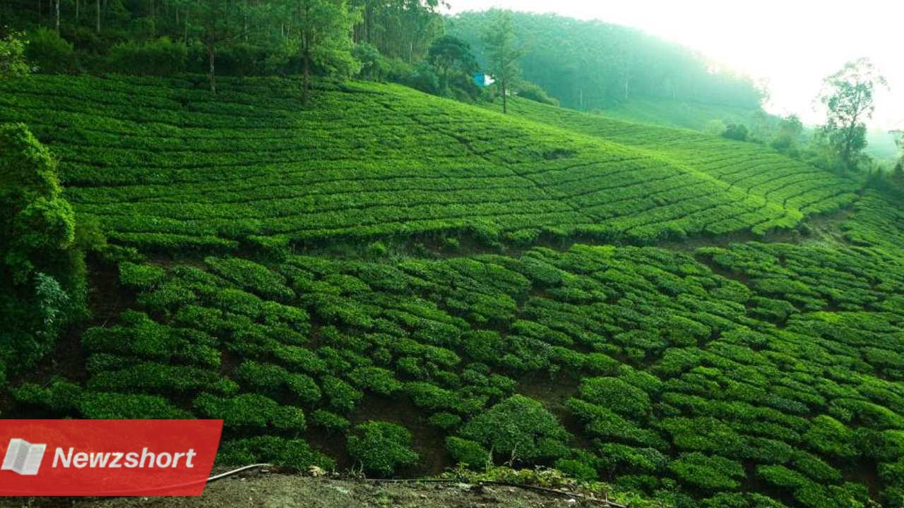 Travel.ভ্রমণ,পাহাড়ি জায়গা,Hill Station,দক্ষিণ ভারত,South India,Bangla Khobor,বাংলা খবর,Bengali Khobor,Bangla,Bengali