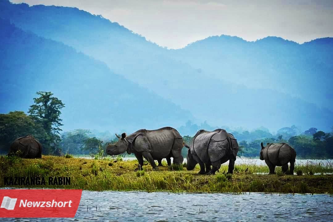 Travel,Kaziranga National Park,Bangla Khobor