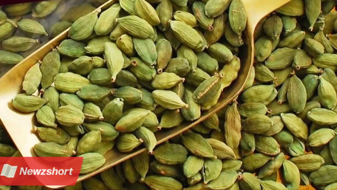 ব্যবসায়িক বুদ্ধি,Business Idea,মশলা,Masala,এলাচ,Cardamom,বাংলা খবর,Bangla Khobor,Bengali Khobor,Bangla,Bengali