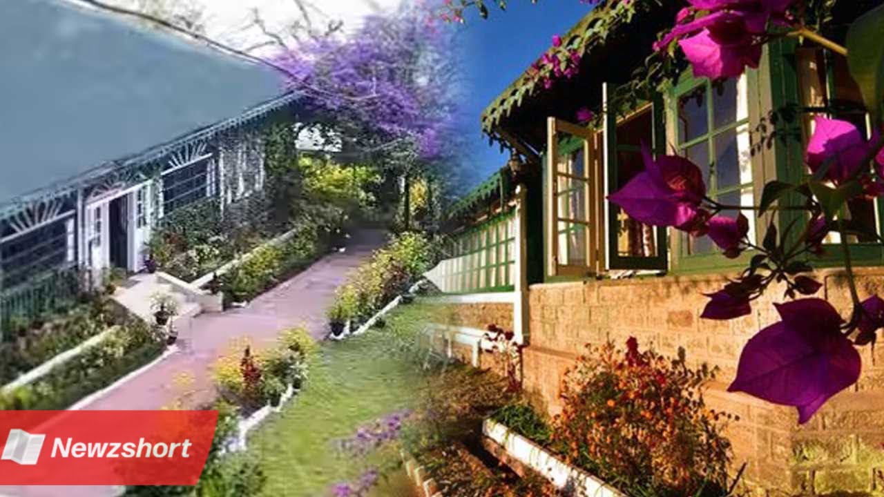 ভ্রমণ,Travel,দার্জিলিং,Darjeeling,টি-রিসর্ট,Tea-Resort,সিংতাম টি এস্টেট,Singtam Tea Estate,বাংলা খবর,Bangla Khobor,Bengali Khobor,Bangla,Bengali