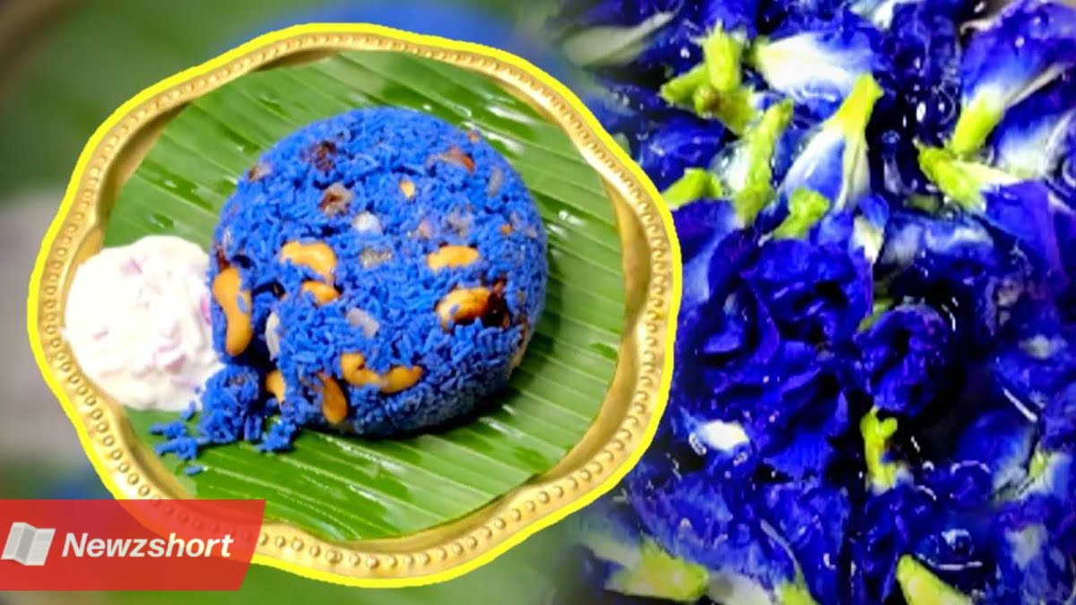 বিরিয়ানি,Biriyani,অপরাজিতা ফুল,Butterfly Pea,ঘি ভাত,Ghee Rice,ভাইরাল,Viral,সোশ্যাল মিডিয়া,Social Media,বাংলা খবর,Bangla Khobor,Bengali Khobor,Bangla,Bengali