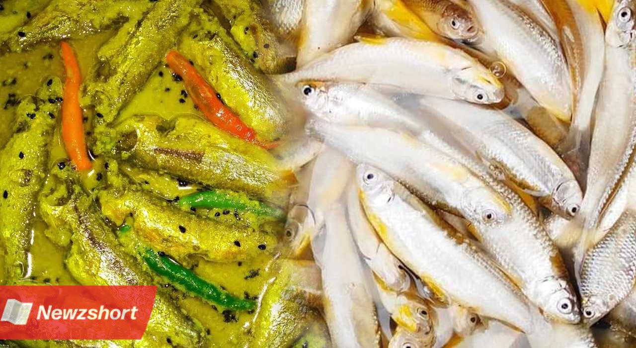 মাছ,Fish,ইলিশ,Ilish,চিংড়ি,Chingri,বোরোলি,Boroli,বাংলা খবর,Bangla Khobor,Bengali Khobor,Bangla,Bengali