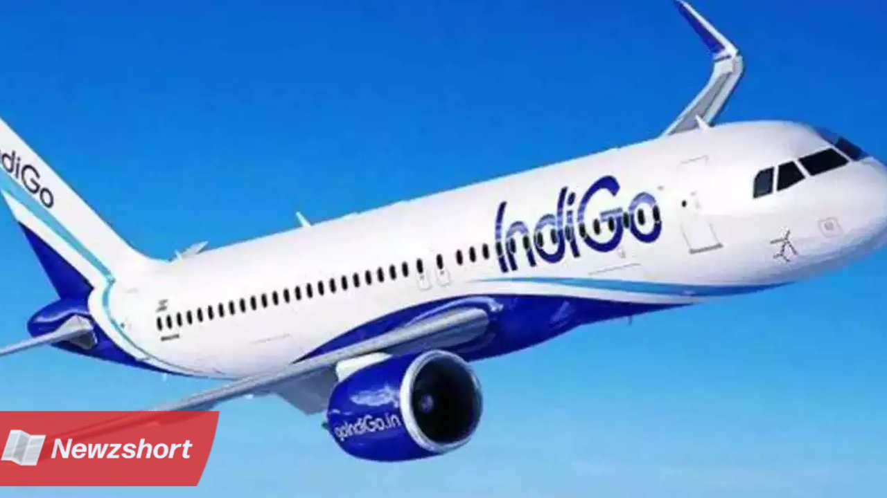 ভারত,India,আমেরিকা,America,ইন্ডিগো,Indigo,এয়ার ইন্ডিয়া,Air Indiaবাংলা খবর,Bangla Khobor,Bengali Khobor,Bangla,Bengali