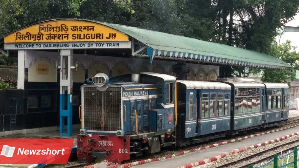 Siliguri Toy Train