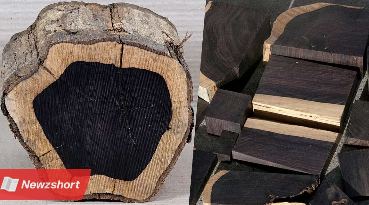 African Black wood