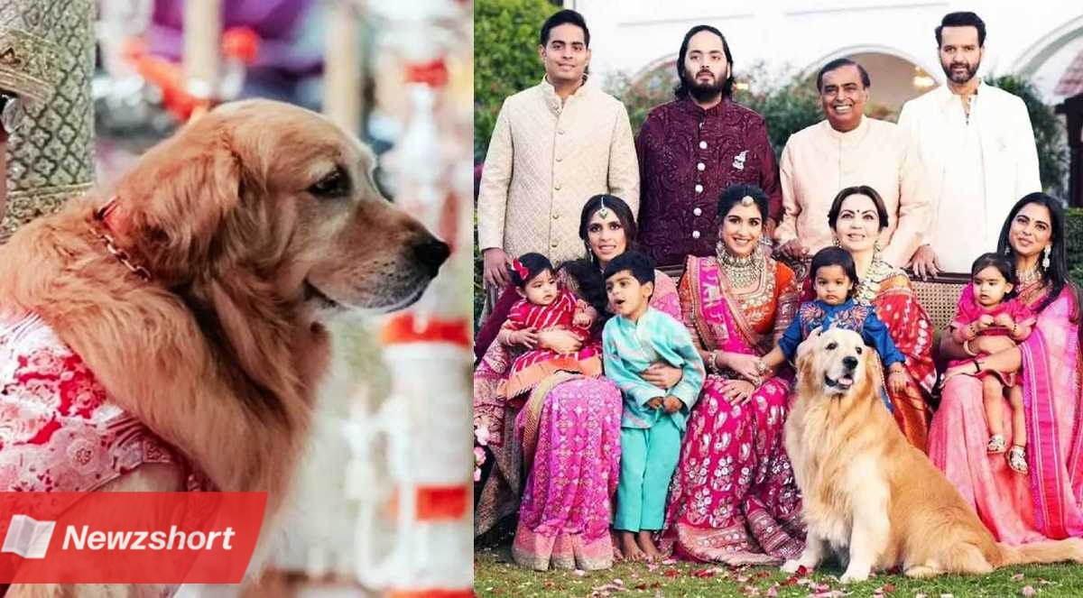 Ambani Family Dog Happy