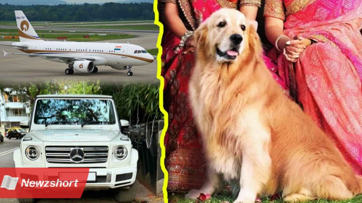 Anant Ambani’s dog Happy who travels in luxury cars fly in Private Plane