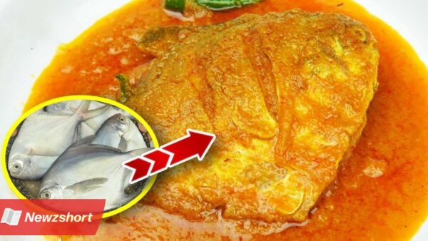 Bengali Style Rupchada Fish Kalia Recipe