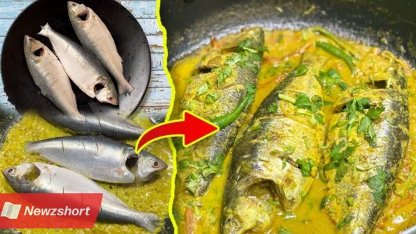 Khoka Hilsa Jhal with Mustard Recipe