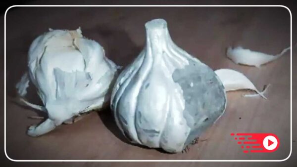 Fake Garlic made of Cement selling in market viral video