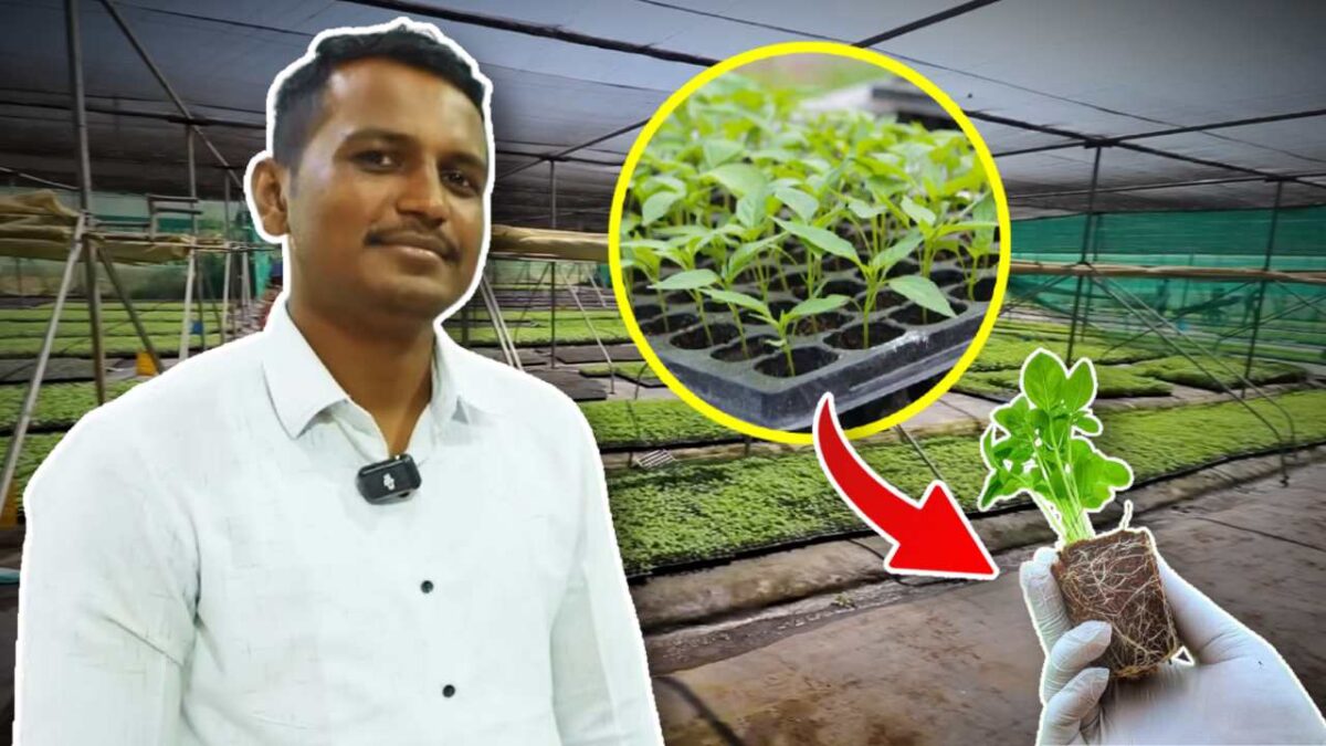 Man who left job to start Agricultural Business and now Earning 16 Lakhs per month story