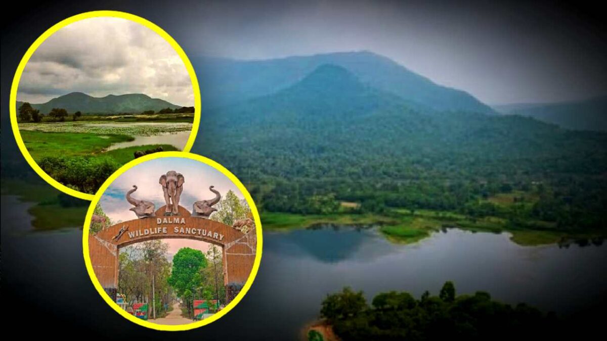 Offbeat Tourist Destination near kolkata Dalma Hills