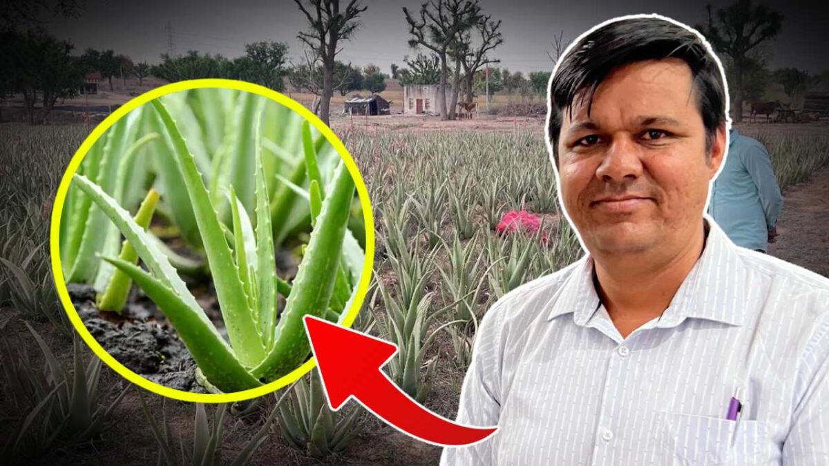 Rakesh Chaudhury man who Introduced Aloe Vera to Rajasthan now earns in crores