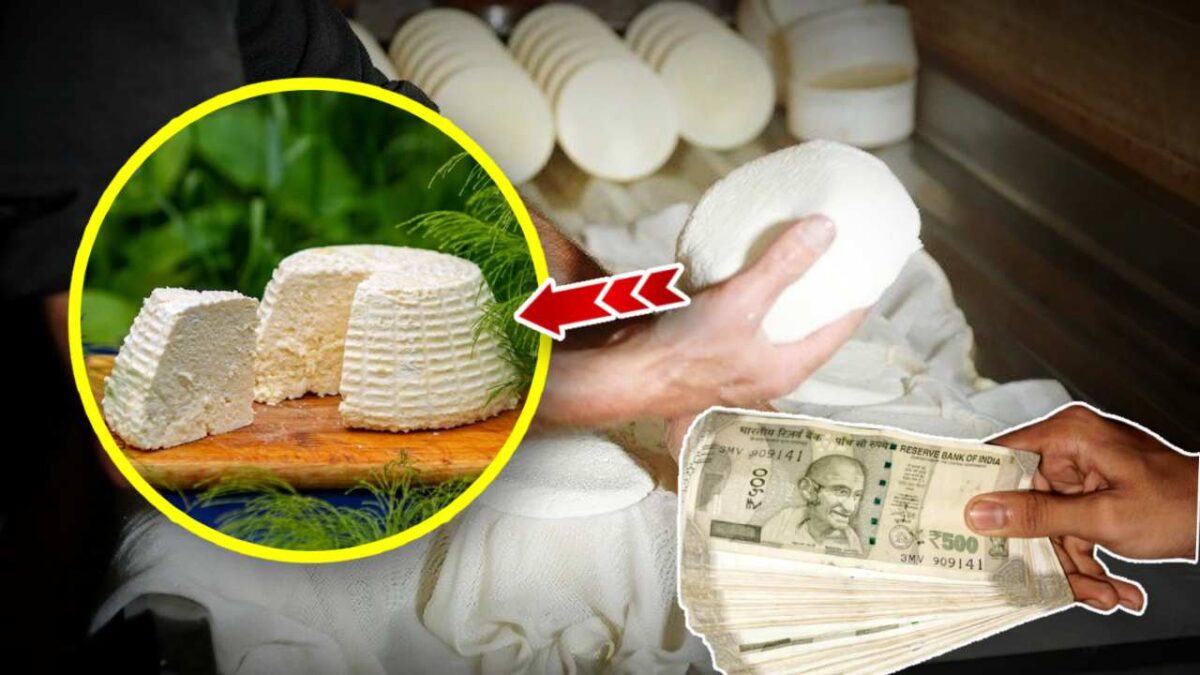 Worlds Most Expensive Paneer Pule Paneer sells for Rs 78000 per KG