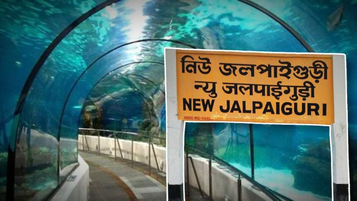 Underwater Metro Theme Kapuluja in Jalpaiguri