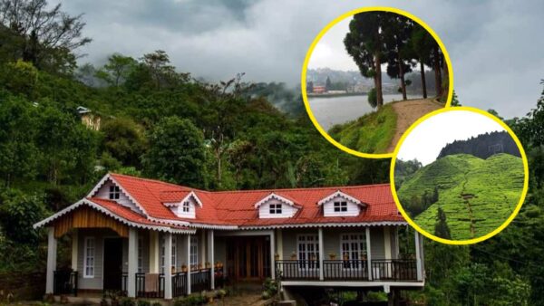 Offbeat North Bengal Zimbagaon Homestay Near Mirik How to reach and places to visit