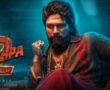 Pushpa 2: The Rule Box Office Collection Day 4: Allu Arjun Fever! Ready to Cross Rs 500 Cr