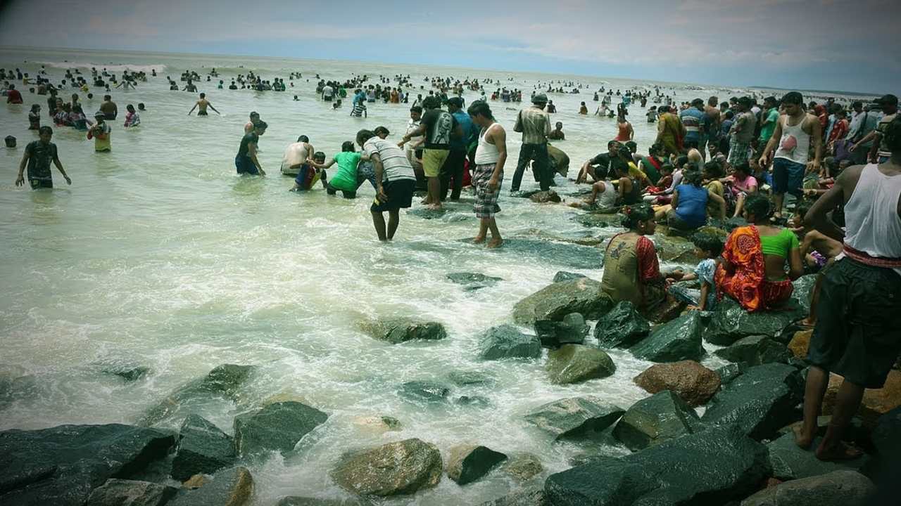 Giant Fish captured in Digha