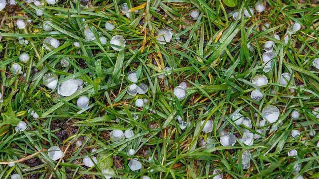 Bengal Weather,Hail,Hailstorm,Kolkata,North Bengal,Rain,Rainfall,South Bengal,South Bengal Rain,Storm,Thunderstorm,Weather,Weather Update