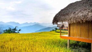 Best Villages in West Bengal
