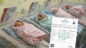 Birth Certificate Online Application Process