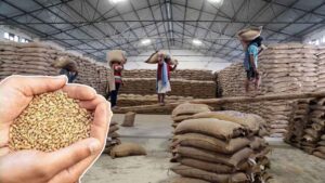 Ration Scheme Wheat might increase
