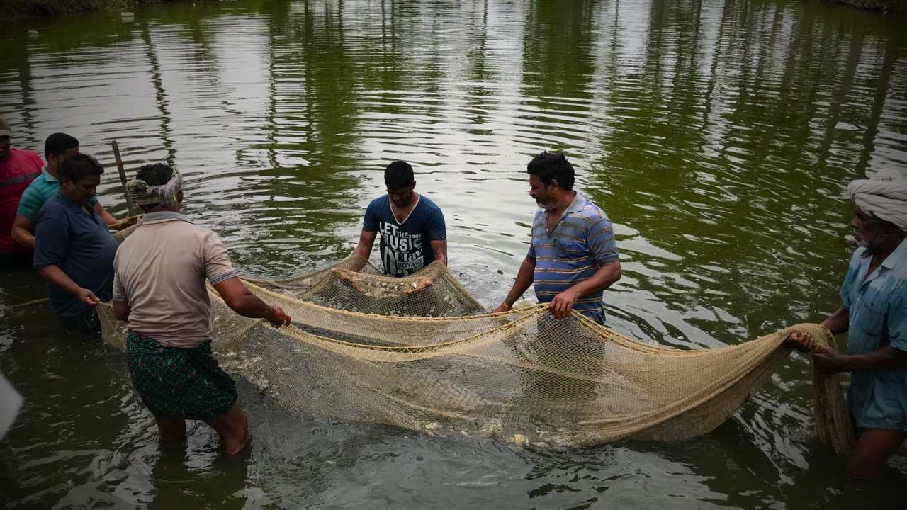 Purulia