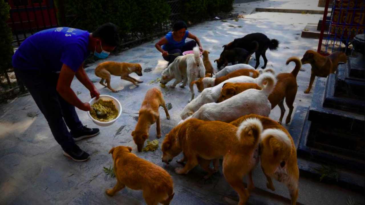 West Bengal government latest guideline for Midday Meal